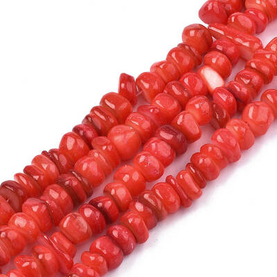 Natural Trochid Shell/Trochus Shell Beads Strands