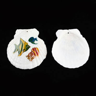 Printed Natural Freshwater Shell Big Pendants
