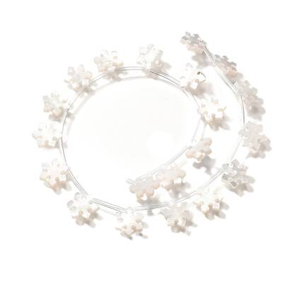 Natural White Shell Beads