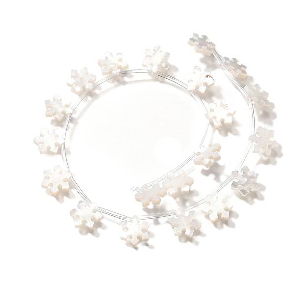 Natural White Shell Beads