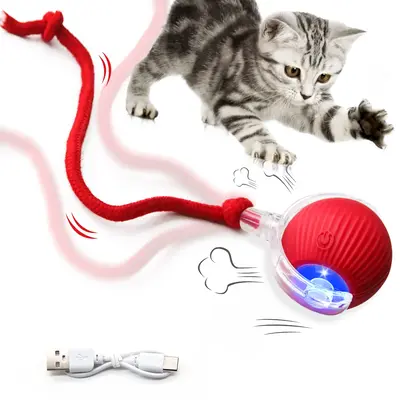 Cat Toys for Indoor Cats, Interactive Cat Toy, USB Rechargeable, Fast Rolling cat Ball Toy On Rug, Bird Chirping & Motion Act...