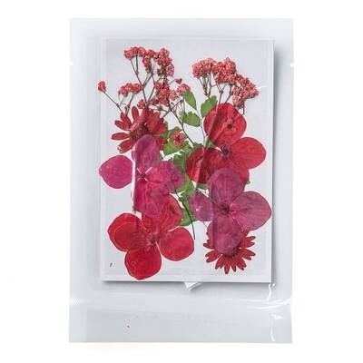 Pressed Dried Flowers