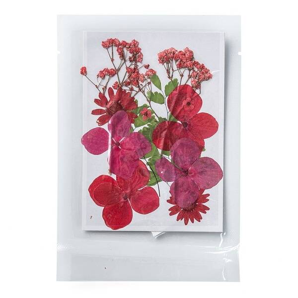 Pressed Dried Flowers