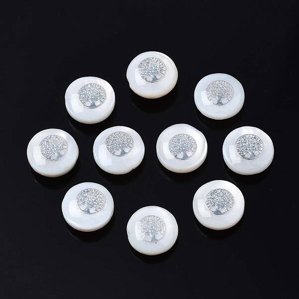 Natural Freshwater Shell Beads