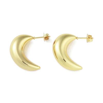 Ion Plating(IP) 304 Stainless Steel Stud Earrings for Women