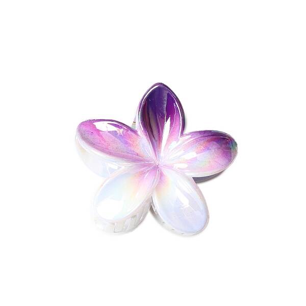Resin Claw Hair Clips