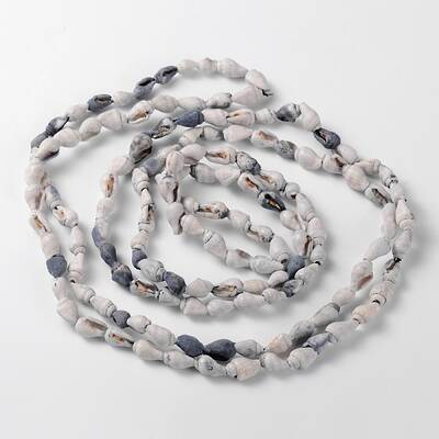 Natural Sea Shell Conch Bead Strands