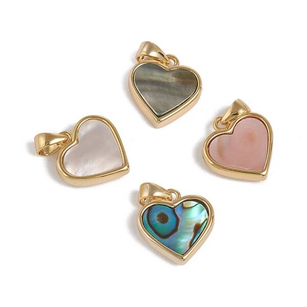 Natural Shell Charms