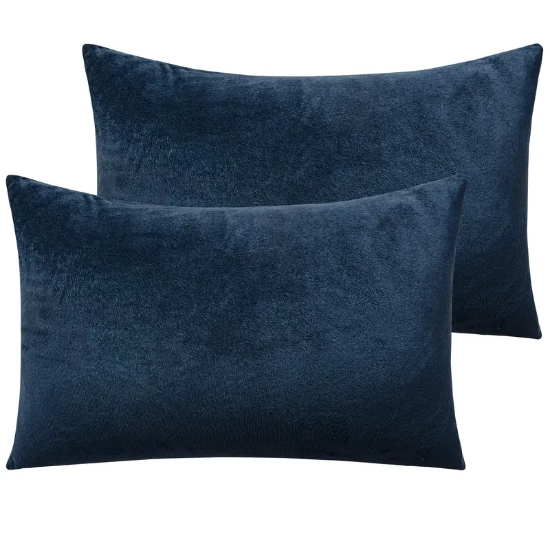 Bedsum 2 Piece Ultra Soft Velvet Throw Pillow Cover, Decorative Cushion Cover with Hidden Zipper