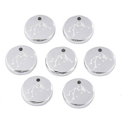 Non-Tarnish 316 Surgical Stainless Steel Charms