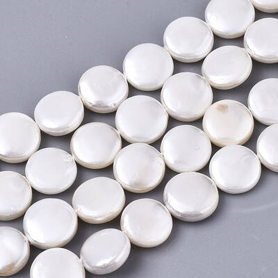 Natural Freshwater Shell Beads Strands