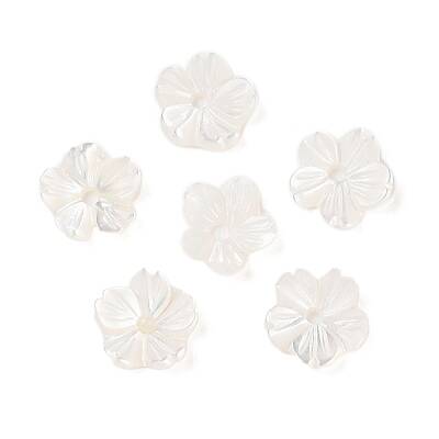 Natural White Shell Beads