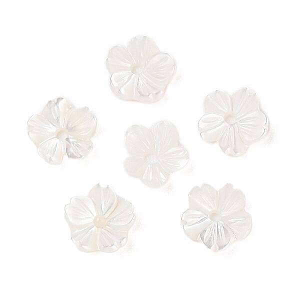 Natural White Shell Beads