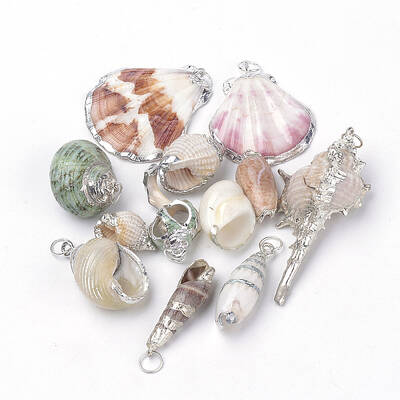 Sea Shell Pendants