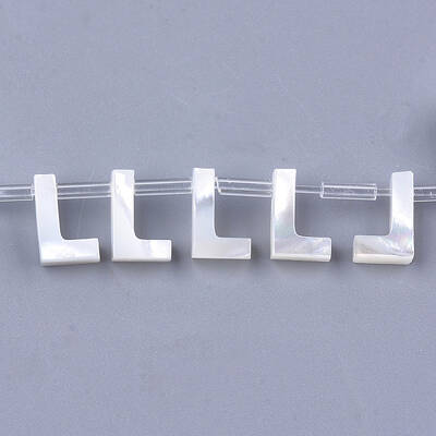 Sea Shell Beads