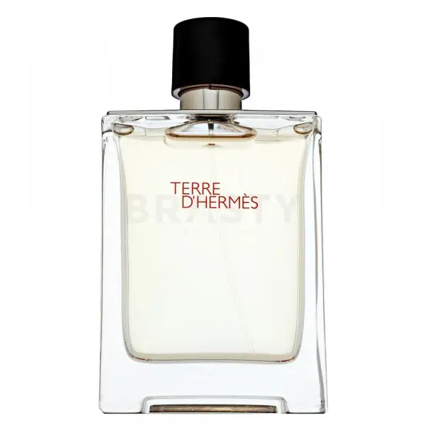 Terre DHermes Cologne for Men - Eau de Toilette Spray 3.4 oz