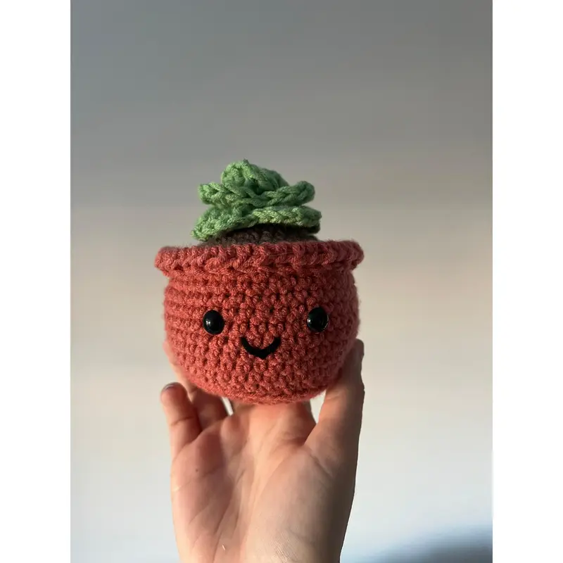 Succulent Crochet Kit