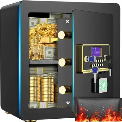 TNTANTS 2.8 Safe Box for Home Security, with Alarm System, Adjustable Shelf, Digital Keypad, for Cash Jewerly Valuables,Combi...