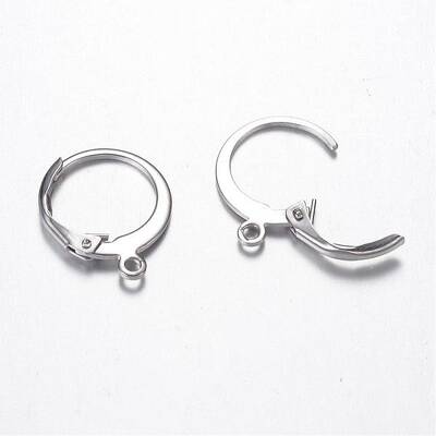 Tarnish Resistant 304 Stainless Steel Leverback Earring Findings