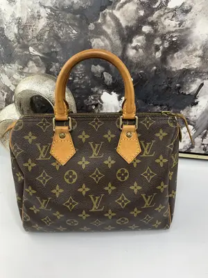 Pre-owned Louis Vuitton canvas Tote Bags Speedy 25