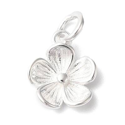 925 Sterling Silver Charms