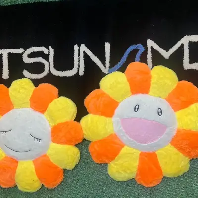 Tsunami Peach Smiley Pillow