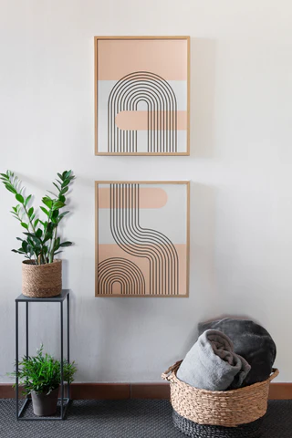 Soft Curves, Bold Statements