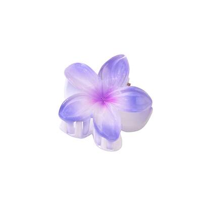 Plastic Claw Hair Clips