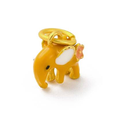 Alloy Enamel Charms
