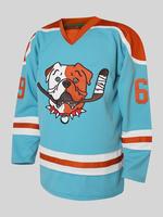 Men's Letter & Dog Embroidery Jersey, Athleisure Style Vintage Long Sleeve V Neck Hockey Ball Uniform, Casual Sportswear for ...