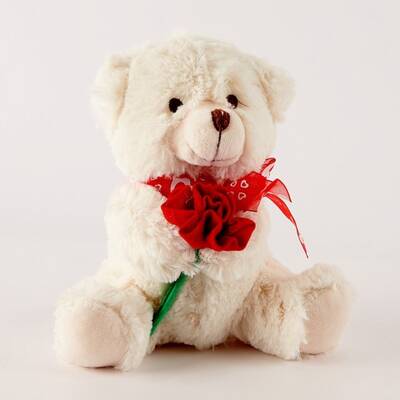 Teddy romance