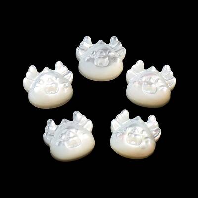 Natural White Shell