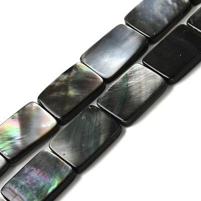Natural Black Lip Shell Beads Strands