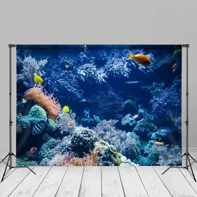 Marine Coral Reefs Underwater Summer Background - Aperturee