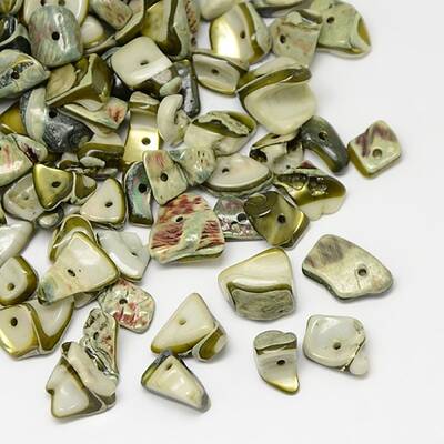 Dyed Natural Freshwater Shell Chips Beads