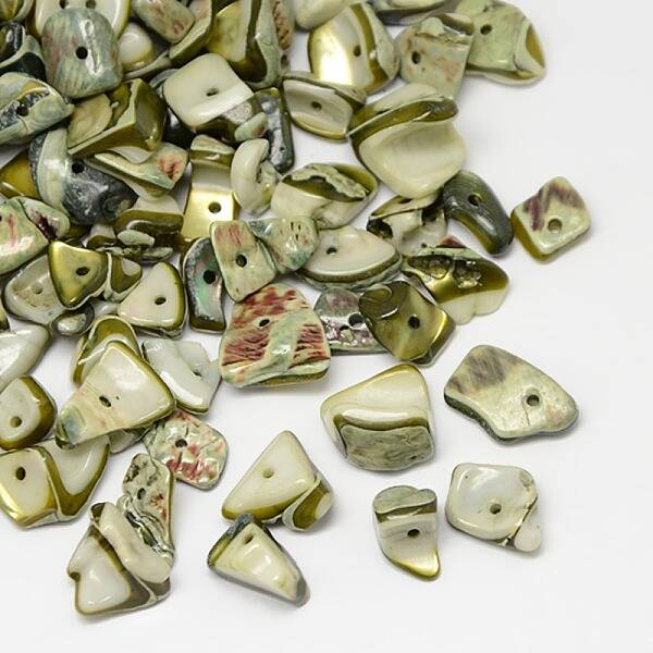 Dyed Natural Freshwater Shell Chips Beads