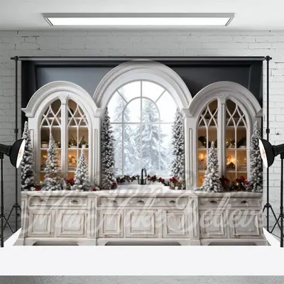 Arch Windows Cabinet Snow Tree Christmas Backdrop - Aperturee