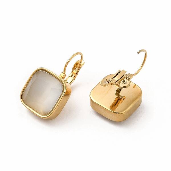 Ion Plating(IP) 304 Stainless Steel Leverback Earrings