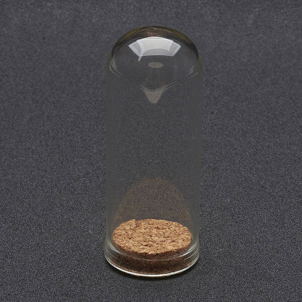 Glass Dome Cloche Cover