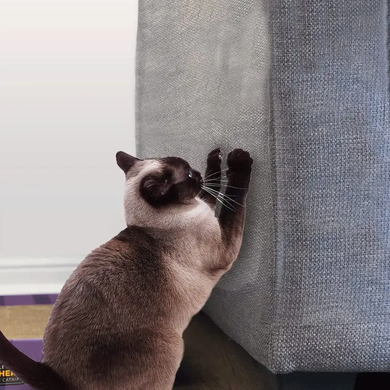 Stelucca Amazing Shields 10-Pack of 18-Inch x 13-Inch Cat Anti Scratch Furniture Protectors with Twist Pins for Strong Protec...