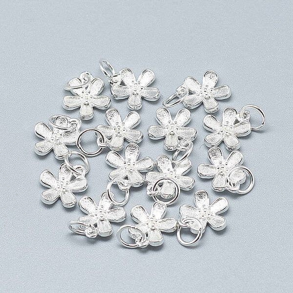 925 Sterling Silver Charms