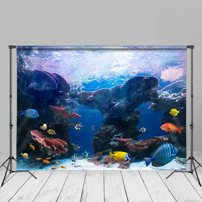 Beautiful Colored Aquarium Fish Summer Backdrop - Aperturee