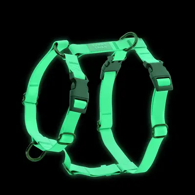 Lunar Glow in the Dark Waterproof Dog Harness