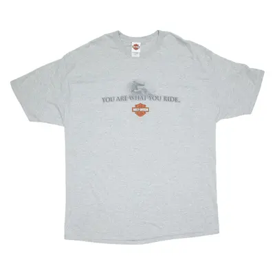 HARLEY DAVIDSON Mens T-Shirt Grey 2XL
