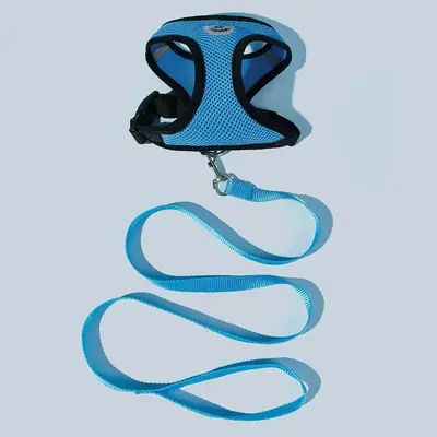 2pcs Pet Harness & Leash Set For Small Medium Large Dog & Cat, Vest Type Breathable Harness For Pet, Simple Polyester Leash F...