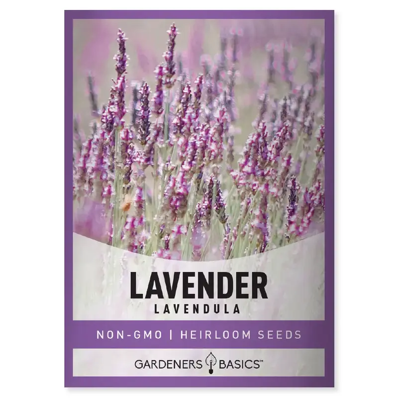Lavender Seeds For Planting In Garden Herbal Tea Butterfly and Bee Pollinator Perennial Plant Seed