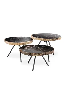 Petrified Wood Coffee Table Set (3) | Eichholtz De Soto