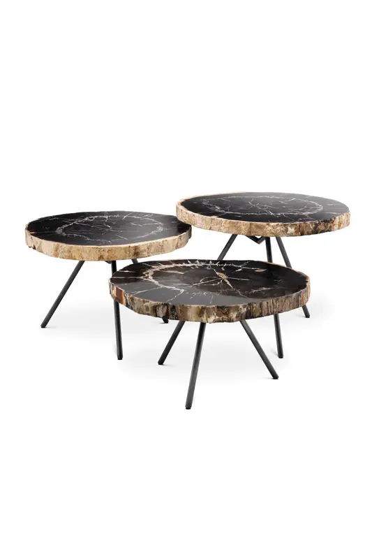 Petrified Wood Coffee Table Set (3) | Eichholtz De Soto