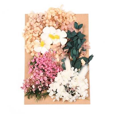 Dried Flower
