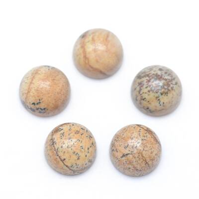 Natural Picture Jasper Cabochons